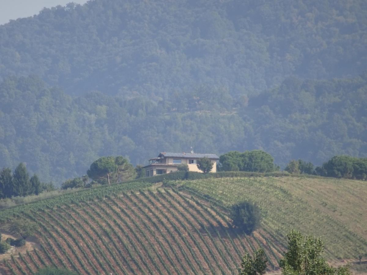 Casaro Appartement Albano Sant'alessandro Buitenkant foto