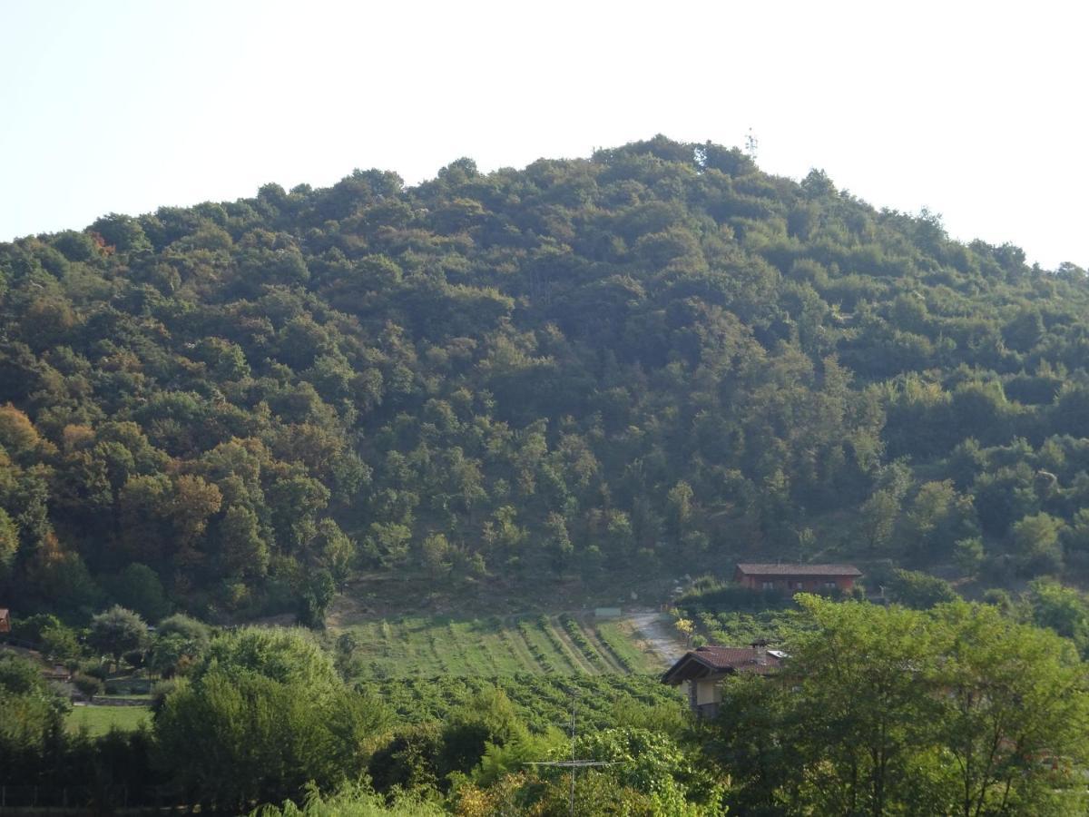 Casaro Appartement Albano Sant'alessandro Buitenkant foto